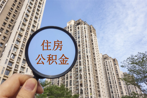 仁寿离职封存6个月为何提取不了（离职封存6个月从哪天算起）